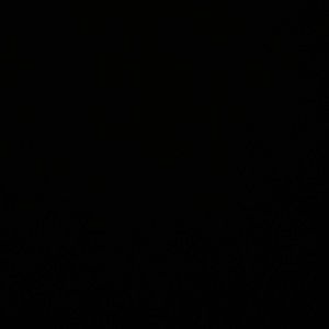 Meet your Posher, Noah